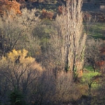 couleurs d\'automne dans le vallon du Riou